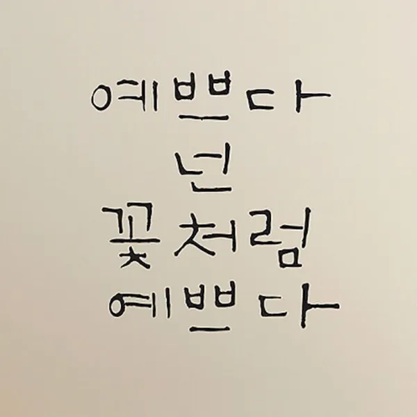 캘리그라피 포인트스티커 예쁘다 넌 꽃처럼, 진회색