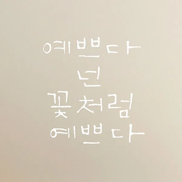 캘리그라피 포인트스티커 예쁘다 넌 꽃처럼, 흰색