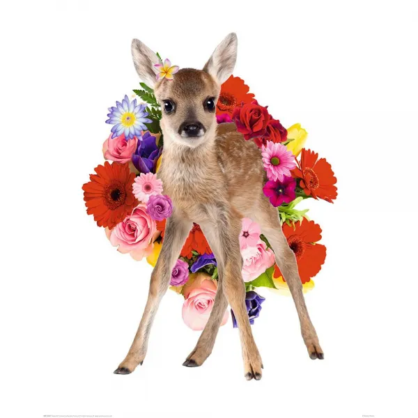 액자 Bambi