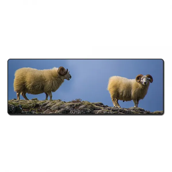 더파슬리 포토 데스크매트 와이드사이즈 가로 80cm x 세로 30cm, 1개, MP 66064
