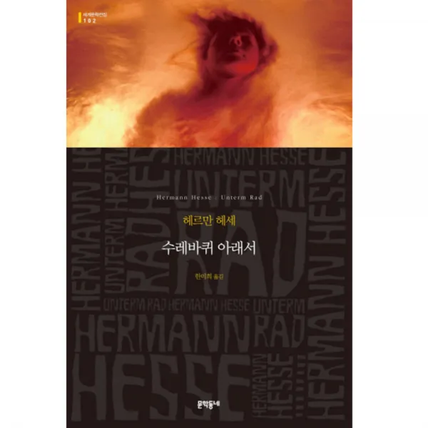 수레바퀴 아래서 (세계문학전집 102), 문학동네