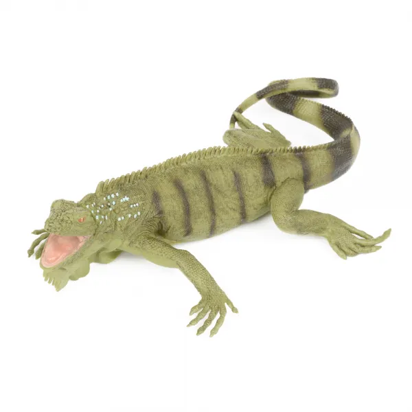 사파리엘티디 이구아나 피규어 Iguana 267729, 1개