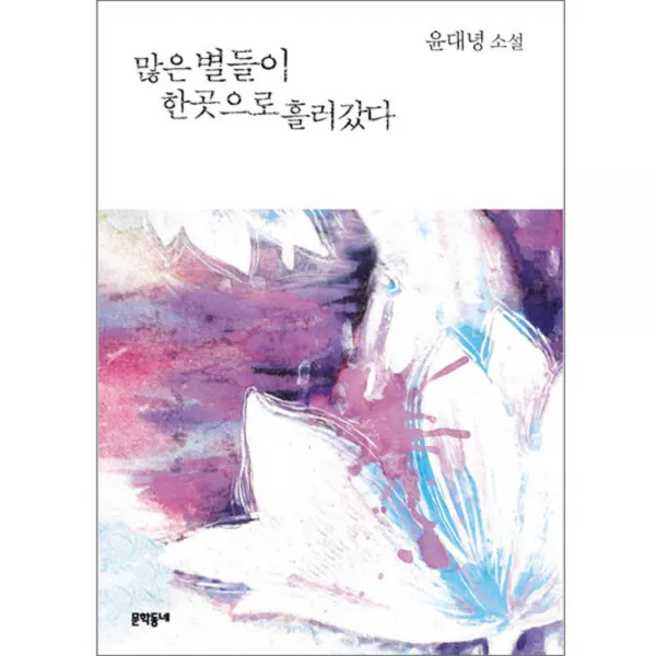 많은 별들이 한곳으로 흘러갔다 양장본, 문학동네