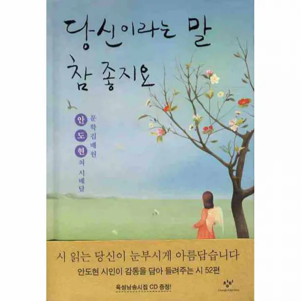 당신이라는 말 참 좋지요 : 문학집배원 안도현의 시배달 양장본, 창비