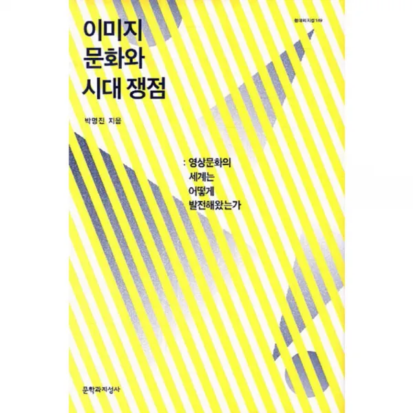 이미지 문화와 시대 쟁점 : 영상문화의 세계는 어떻게 발전해왔는가 양장본, 문학과지성사