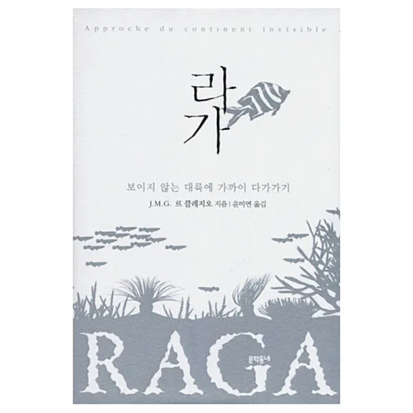 라가 : 보이지 않는 대륙에 가까이 다가가기 양장본, 문학동네