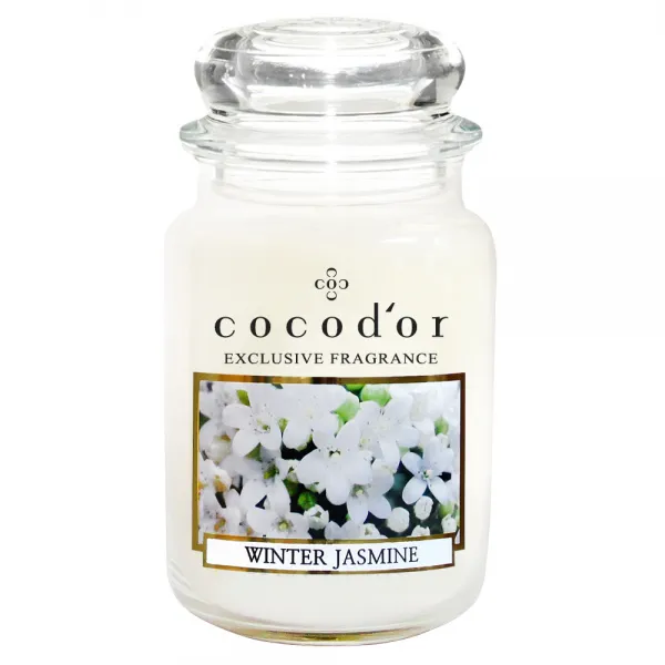 코코도르 라지자 캔들 윈터 쟈스민 1개