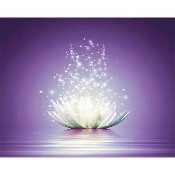 케이엠엘리 5d 보석십자수 Diy 세트 빛나는 연꽃2 40 X 50 Cm 혼합 색상 1세트