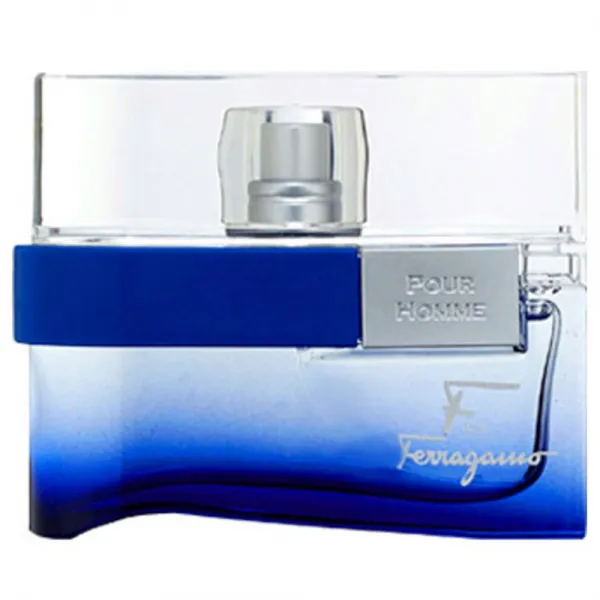 살바토레 페라가모 에프 바이 페라가모 뿌르 옴므 프리타임 EDT, 100ml