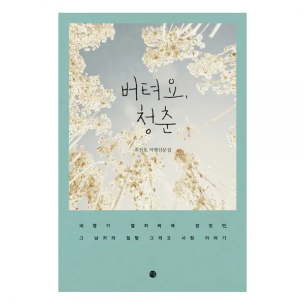 버텨요 청춘 : 비행기 옆자리에 앉았던 그 남자의 일탈 그리고 사랑 이야기, 달