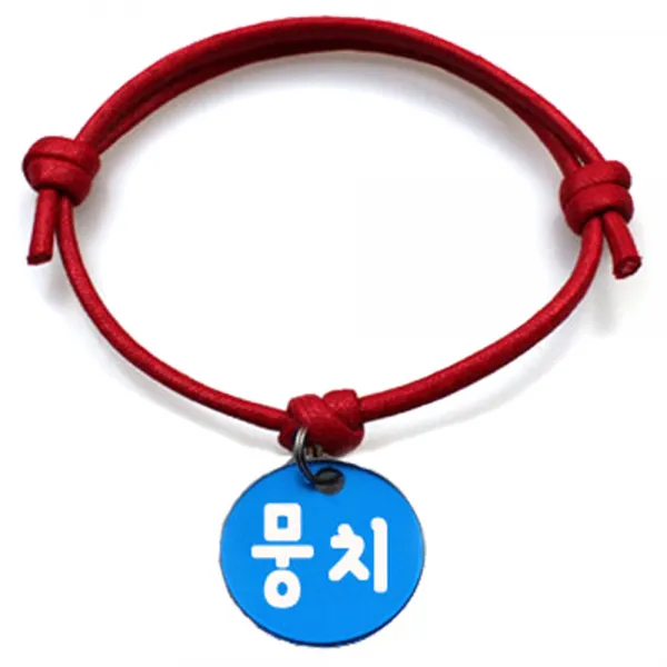 펫츠룩 굿모닝 레드 반려동물 목걸이 M + 알미늄원형 팬던트 S, 블루(뭉치), 1개
