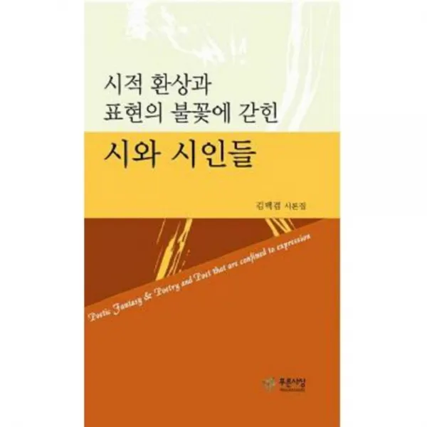 시와 시인들(시적환상과 표현의 불꽃에갇힌), 푸른사상