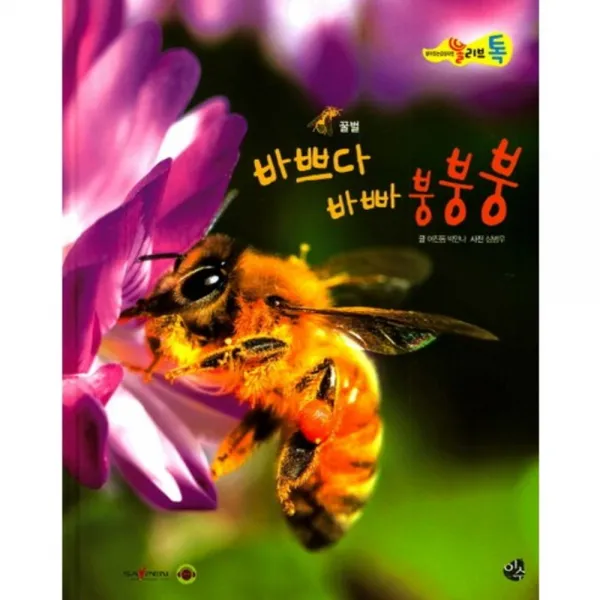 바쁘다 바빠 붕붕붕-35(올리브톡살아있는감성자연), 도서출판 이수