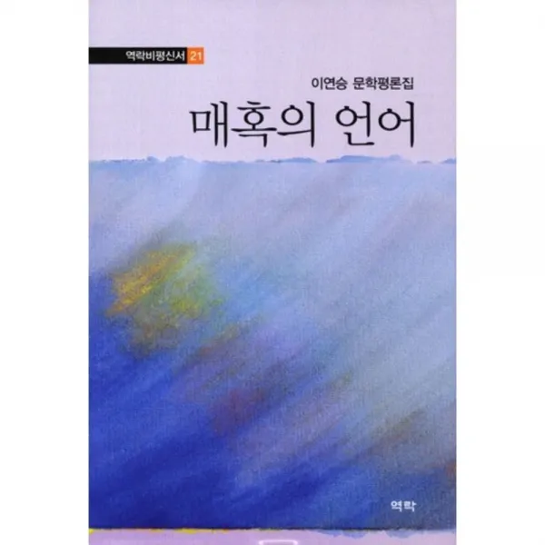 매혹의 언어 21 역락 비평 신서 역락