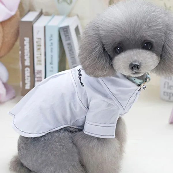 비케이 반려견 격식있는 셔츠차림 티셔츠, 화이트