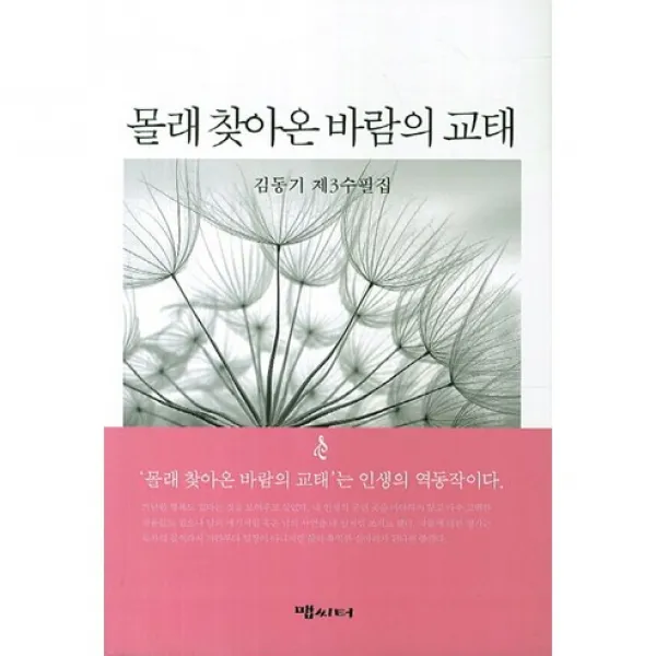 몰래 찾아온 바람의 교태, 맵씨터