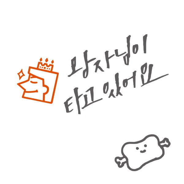 1AM 자동차 스티커 V3 2C시크 왕자님이타고 새침왕자 + 주유구 고기, 연회 + 주황, 1세트