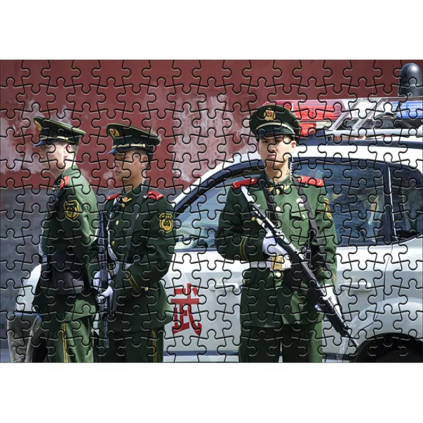 다모아 시험관퍼즐 중국공안, 204피스, 혼합 색상