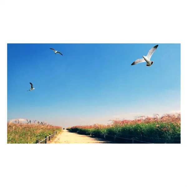 UVDS 주방아트보드 공원과 갈매기, 1개