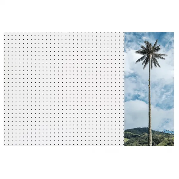 앤비커머스 인테리어타공판 외나무 우 WHITE, 1개
