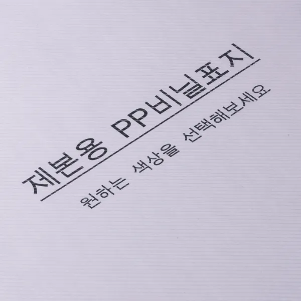 카피어랜드 PP 제본표지 0.5mm 100p, 사선투명, A4