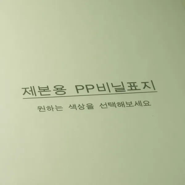 카피어랜드 Pp 제본표지 반투명 0.5mm 100p 연두 A4