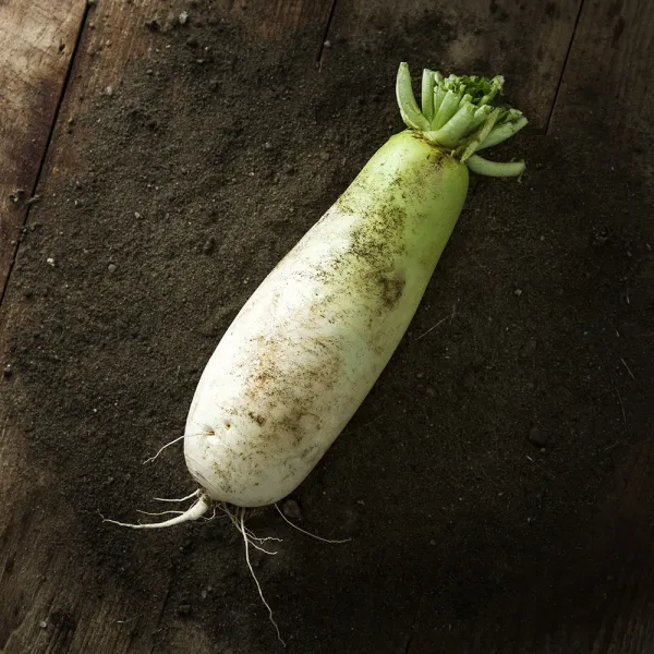 국내산 무 900g이상 1개