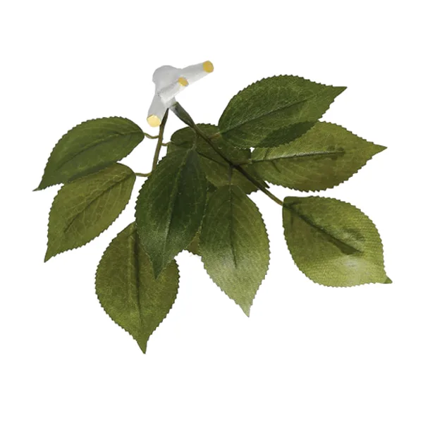 키커랜드 나뭇가지모양 자석 나뭇잎 1개