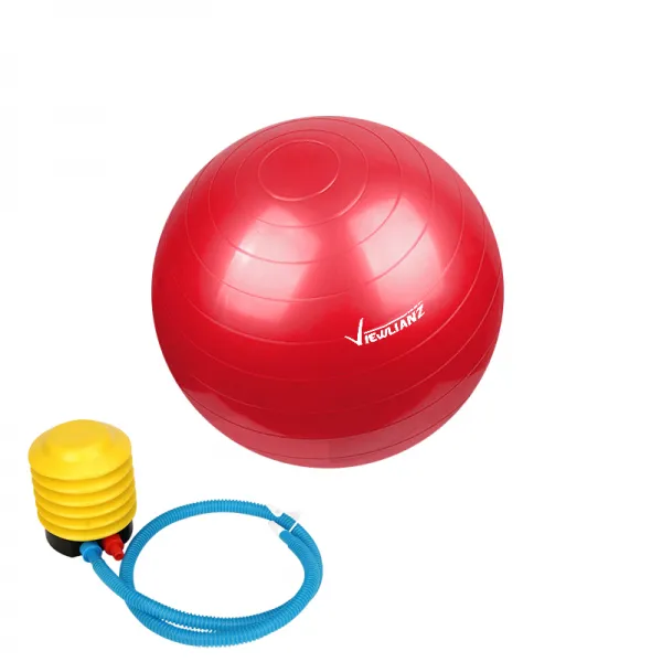 뷰리언즈 안티버스트 짐볼 + 발펌프 세트 레드