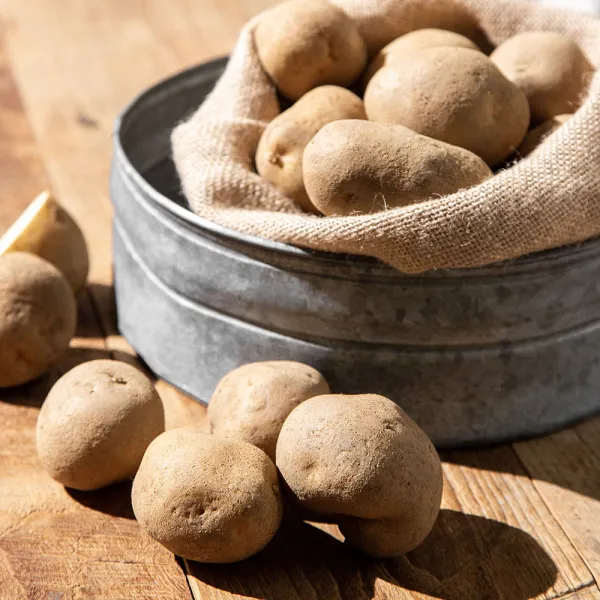 20년산 햇감자, 2kg, 1봉