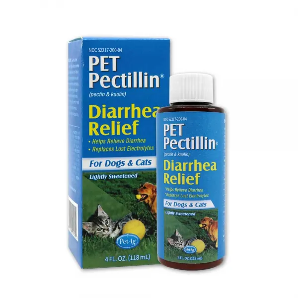 펫에그 반려동물 펫펙틸린 설사 지사제, 1개