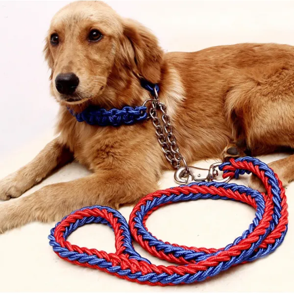 제제펫 대형견 로프 목줄 리드줄세트 L 레드블루 Y407pdrl003 1세트