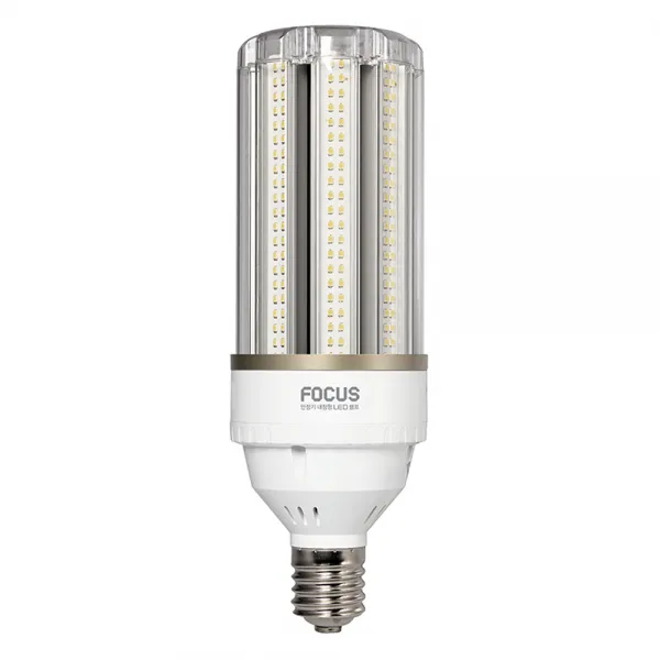 포커스 신광 LED 보안등 투명 E39 55W, 주광색, 1개