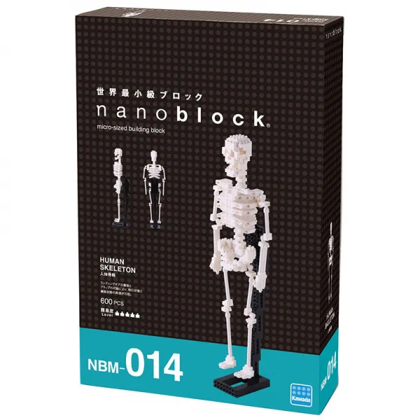 카와다 인체골격도 나노블럭 NBM-014, 600피스