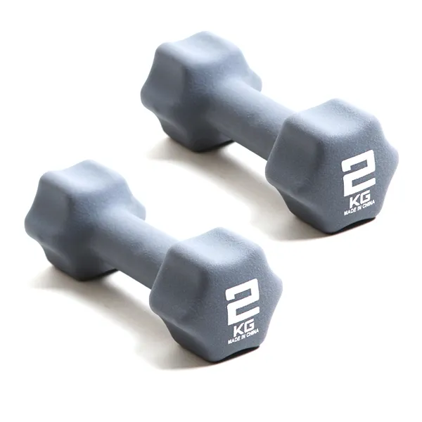 스포뱅크 에버라스트 네오프랜 아령 2kg, 2개입, 그레이