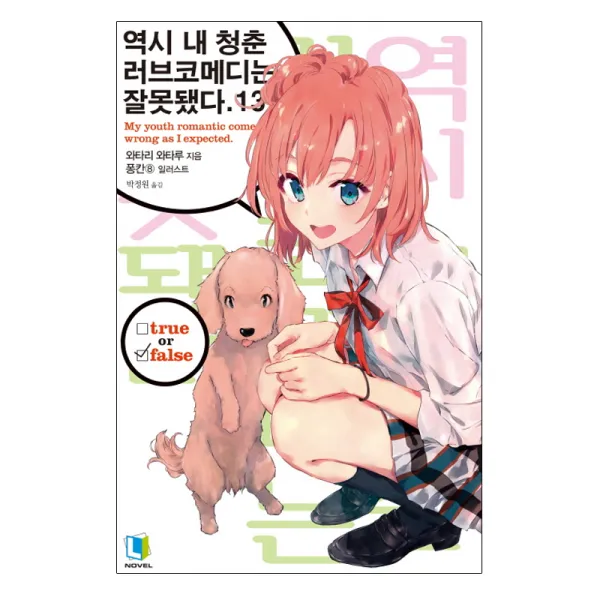 역시 내 청춘 러브코메디는 잘못됐다 13, 디앤씨미디어