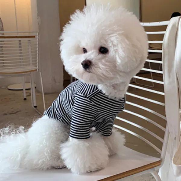 매그독 루피 스트라이프 반려동물 티셔츠 네이비