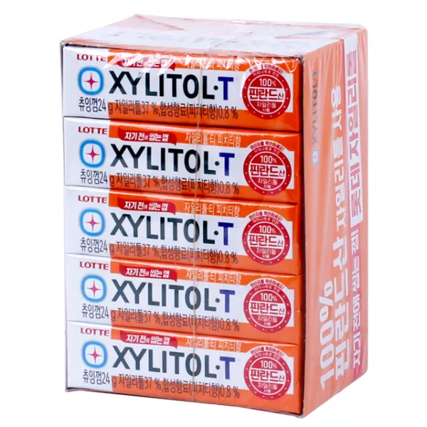 롯데자일리톨 T 24g x 15, 15개입