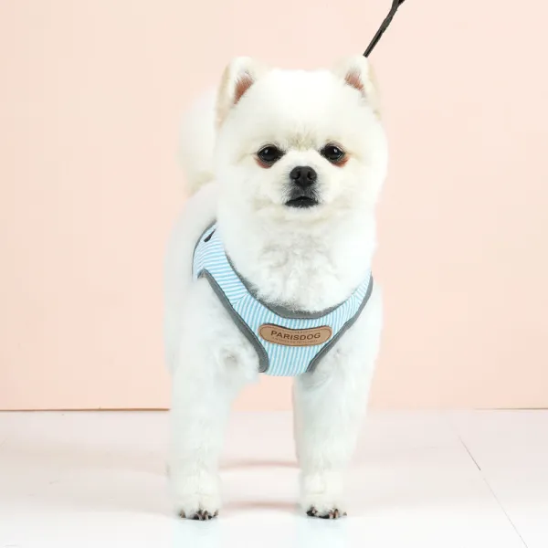 패리스독 프레시 강아지 하네스 + 리드줄 S, 블루, 1세트