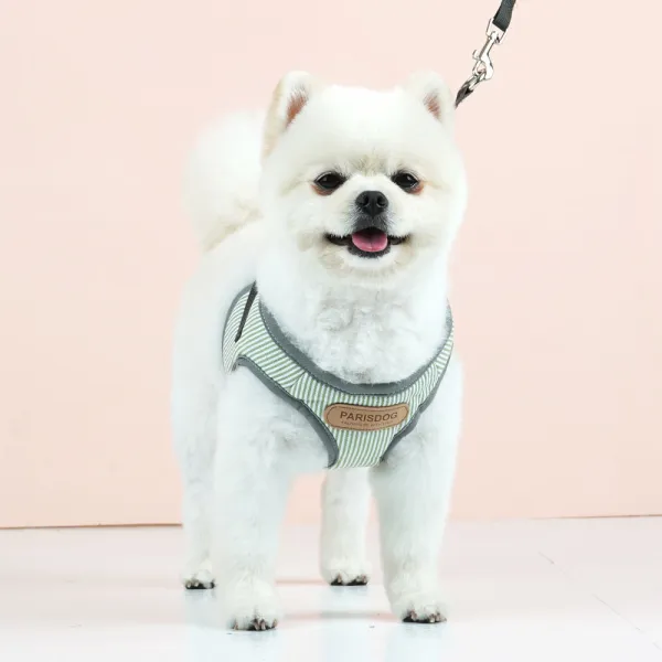 패리스독 프레시 강아지 하네스 + 리드줄 S, 그린, 1세트