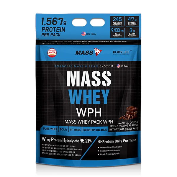 매스96 매스웨이 포대유청 Wph 보충제 초코맛 2000g 1개