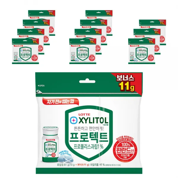 롯데자일리톨 껌 프로텍트 트윈리필, 81g, 12개입