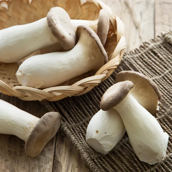 뿌리 손질된 친환경인증 새송이버섯, 600g, 1팩