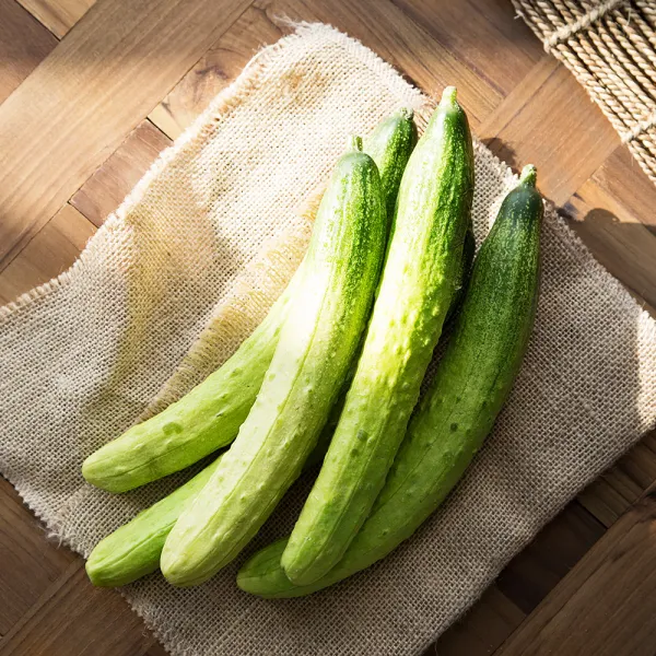 GAP 인증 백오이 5입, 500g 이상, 1봉