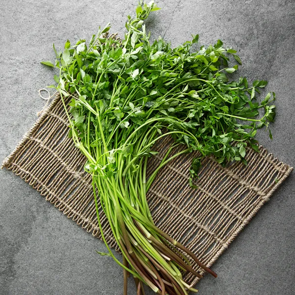 친환경인증 청도 미나리, 400g, 1봉