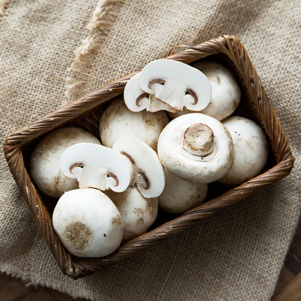 국내산 양송이 버섯, 300g, 1팩