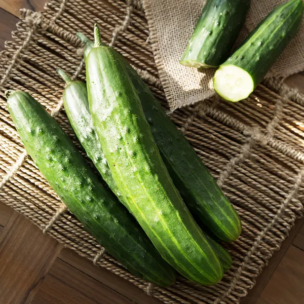 친환경인증 가시오이 5개입, 900g, 1봉