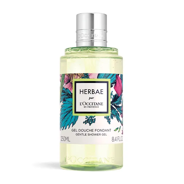 록시땅 에르베 젠틀 샤워젤 숲향 250ml 1개