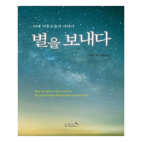 별을 보내다, 리즈애북