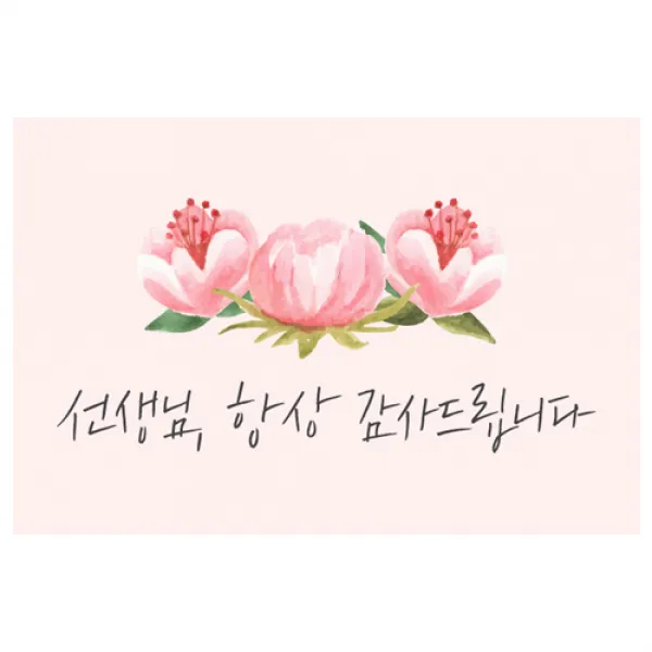 도나앤데코 선생님006 아론 핑크 꽃잎 가로형 사각 스티커 6 X 4 Cm 혼합 색상 60개